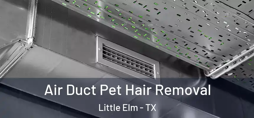  Air Duct Pet Hair Removal Little Elm - TX