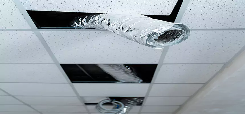 Our Air Duct Pet Hair Removal Services in Little Elm, TX