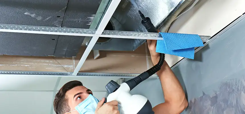 Our Air Duct Rodent Removal Services in Little Elm, TX