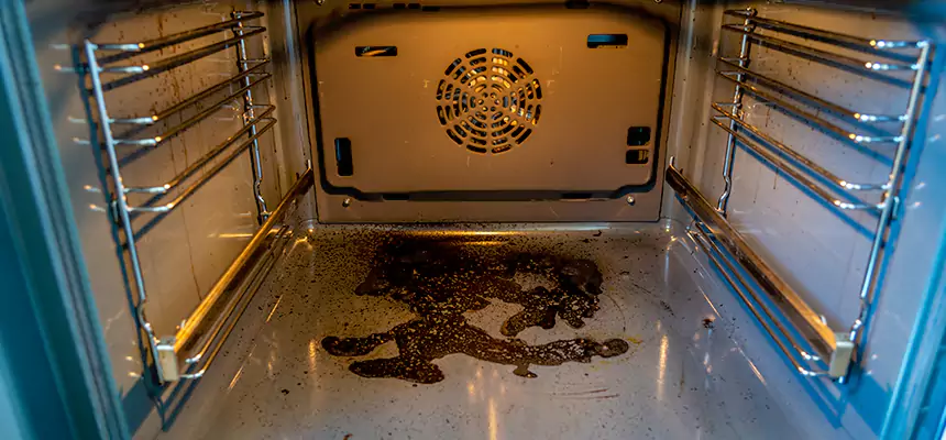 Our Dryer Vent Mold Cleaning Services in Little Elm, TX