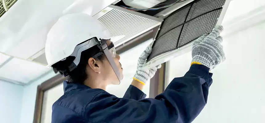 Our Mold & Mildew Removal from Air Ducts Services in Little Elm, TX