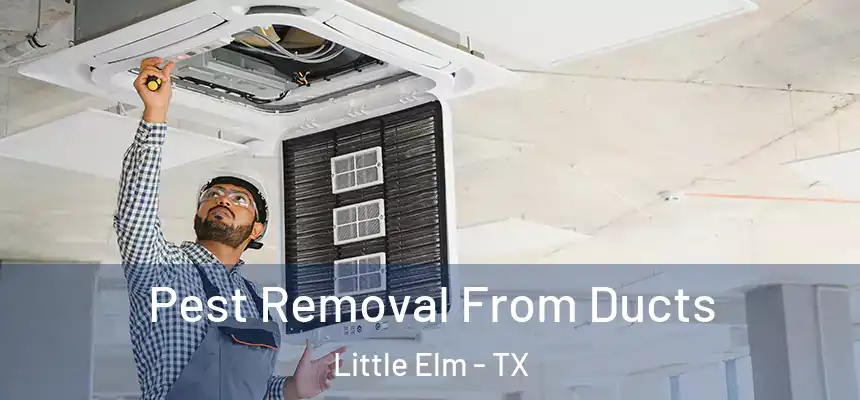 Pest Removal From Ducts Little Elm - TX
