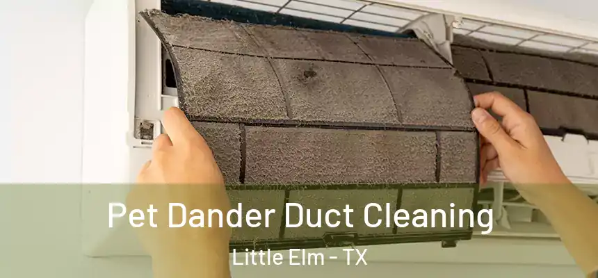  Pet Dander Duct Cleaning Little Elm - TX