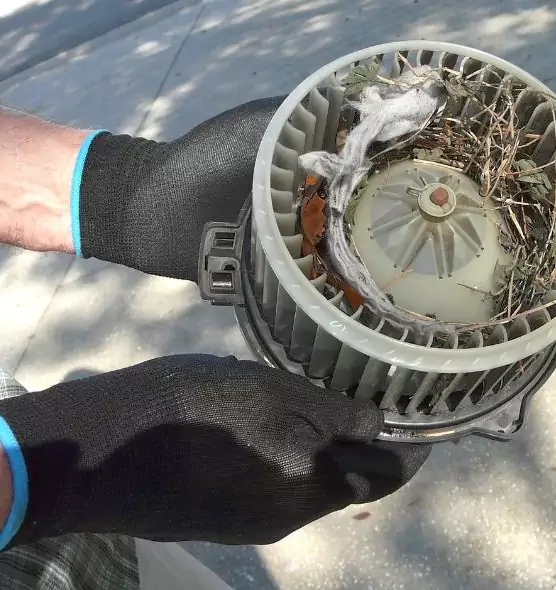 About Air Duct Mice Removal in Little Elm, TX