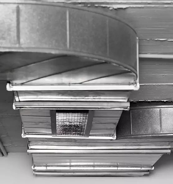 Professional Air Duct Pest Removal in Little Elm, TX