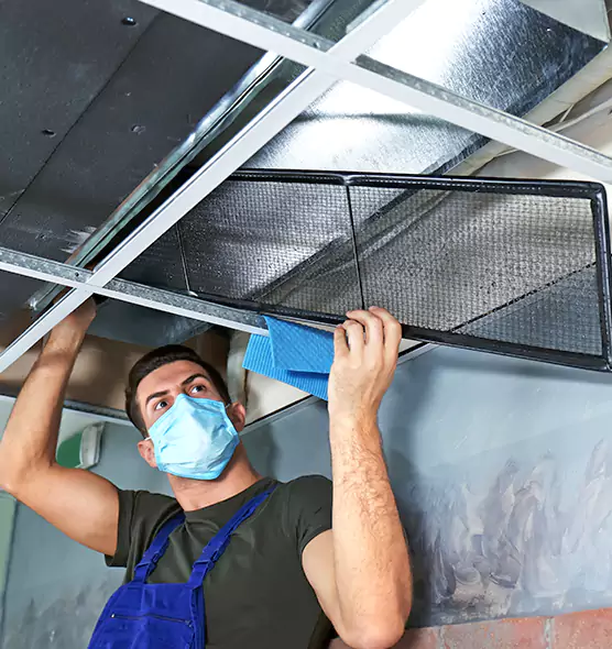 Professional Air Duct Pollen Cleaning in Little Elm, TX