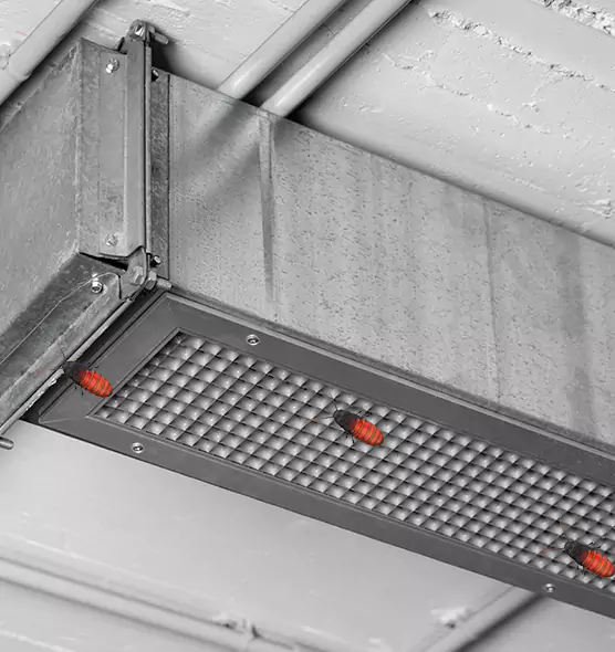 Affordable Insect Removal from Air Ducts in Little Elm, TX