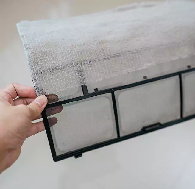 Why Homeowners & Businesses Trust Us in Little Elm, TX?