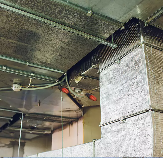 Why Homeowners & Businesses Trust Us Little Elm, TX?